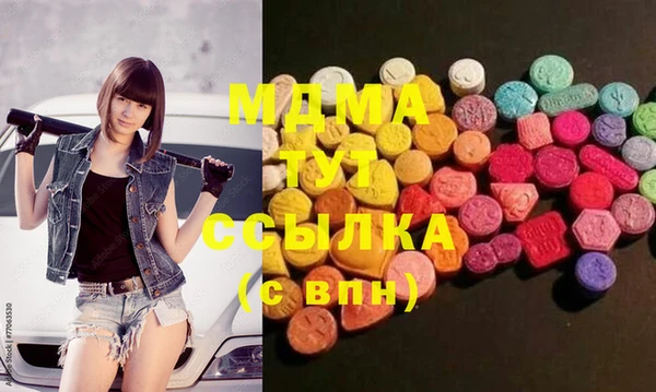 индика Новозыбков