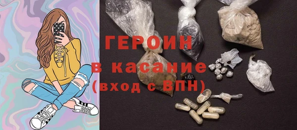 индика Новозыбков